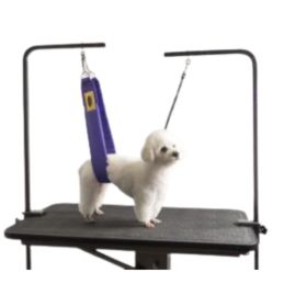 The Belly Band 46in Long Amethyst