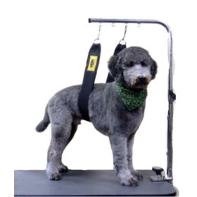 The Belly Band 46in Long Black