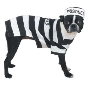 Casual Canine Prison Pooch Costume S