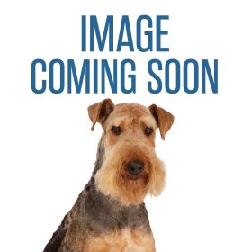 Top Performance Fursions Dog Grooming Cologne 8oz Polo