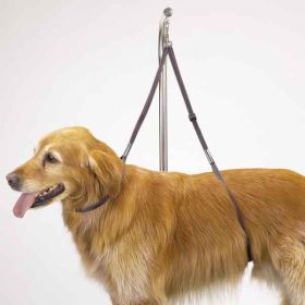 Top Performance Nylon Dog Grooming Table Harness 27In
