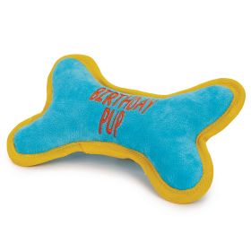 Zanies Birthday Pup Bone Dog Toys
