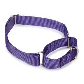 Guardian Gear Nylon Martingale Collar 14-20In Ultra Violet