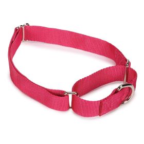 Guardian Gear Nylon Martingale Collar 18-26In Raspberry
