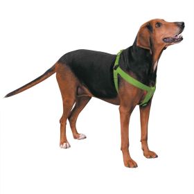 Casual Canine Nylon 2 Step Harness 25-40In Green