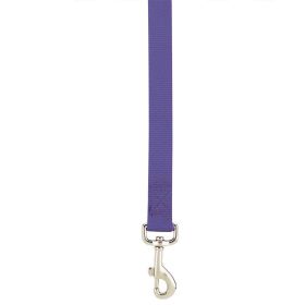 Casual Canine Lead 6FtX1In Purple