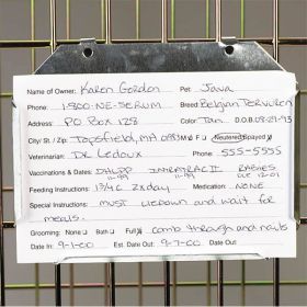 ProSelect Kennel Card 3x5In 100Pk