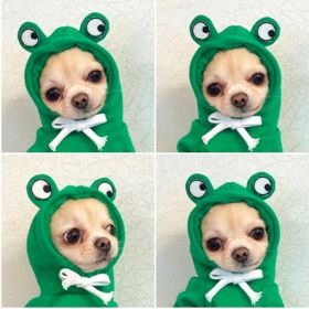Cute Fruit Dog Clothes For Small Dogs Hoodies Winter Warm Fleece Pet Clothing Puppy Costume Coat For French Chihuahua Outfit (Option: 5 Style-XS)