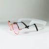 Pet Sunglasses